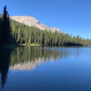 Meet your Posher, Patti-ann